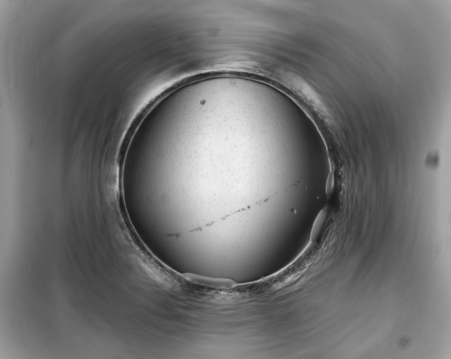 X0000099411324200805161011