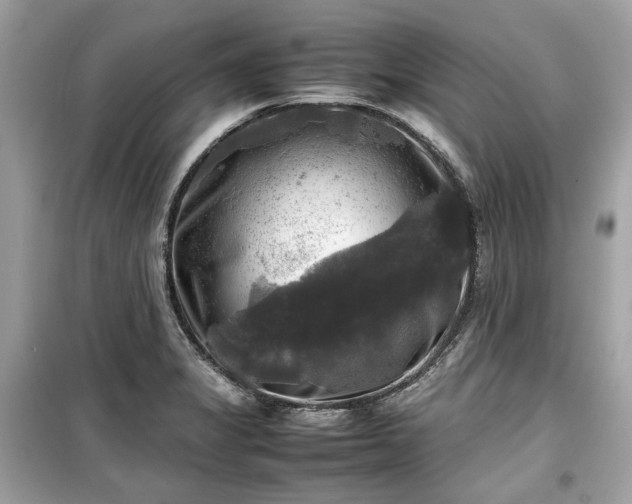 X0000099411325200805161011