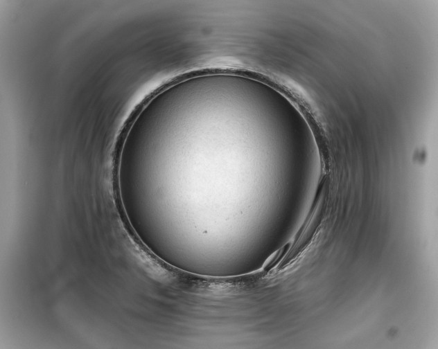 X0000099411326200805161011