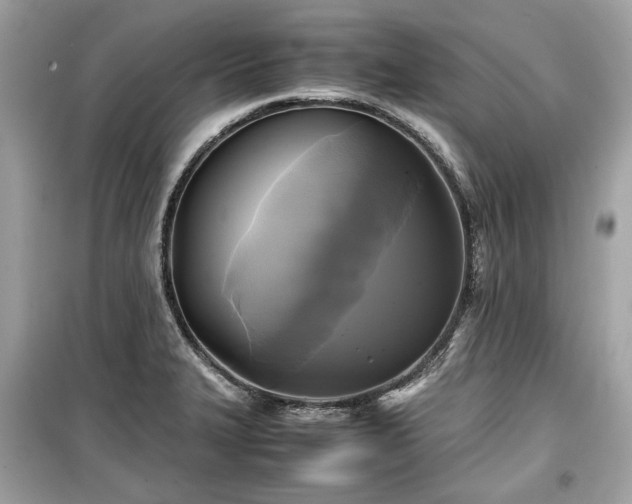 X0000099411327200805161011