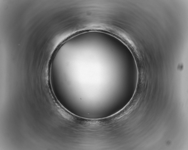 X0000099411328200805161011