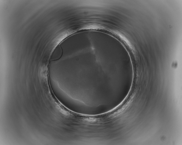 X0000099411329200805161011
