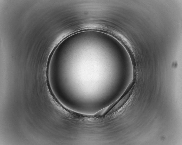 X0000099411330200805161011