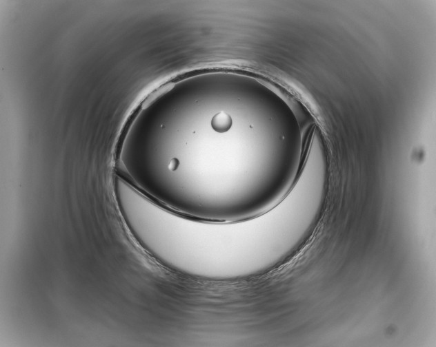 X0000099411332200805161011