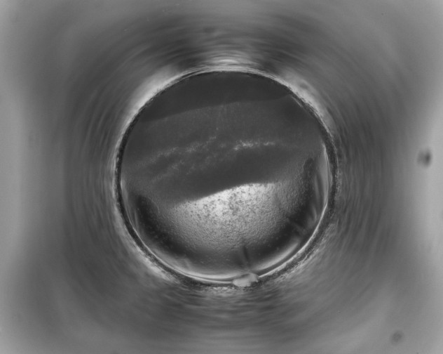 X0000099411333200805161011