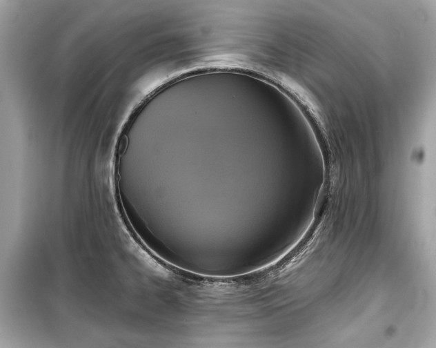 X0000099411334200805161011