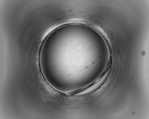 X0000099411336200805161011