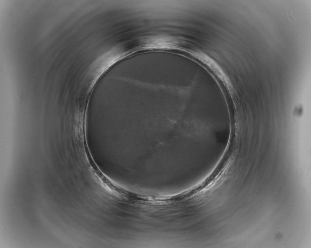 X0000099411337200805161011