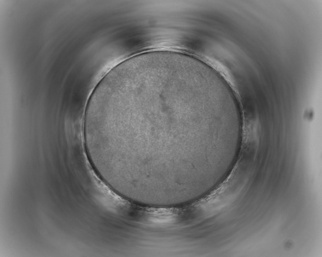 X0000099411338200805161011