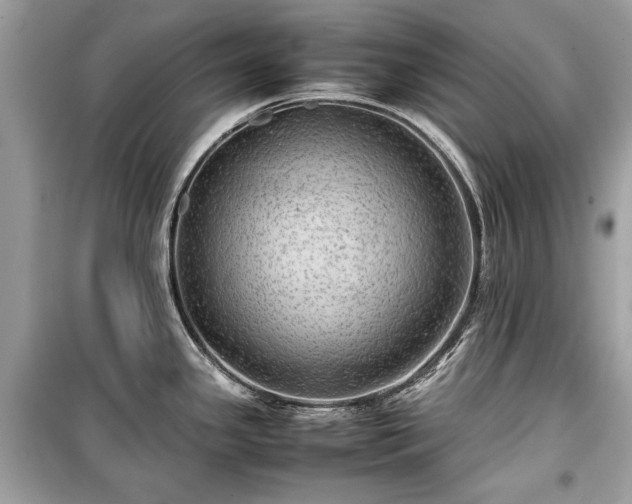 X0000099411341200805161011