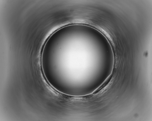 X0000099411342200805161011