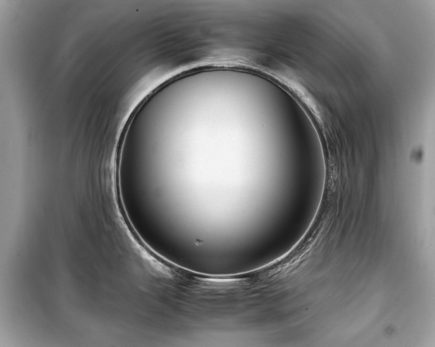 X0000099411343200805161011