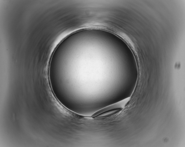 X0000099411344200805161011