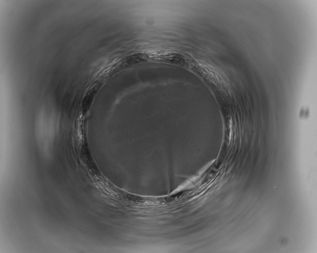 X0000099411346200805161011