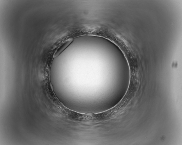 X0000099411349200805161010