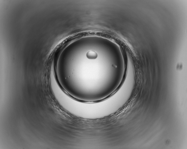 X0000099411352200805161010