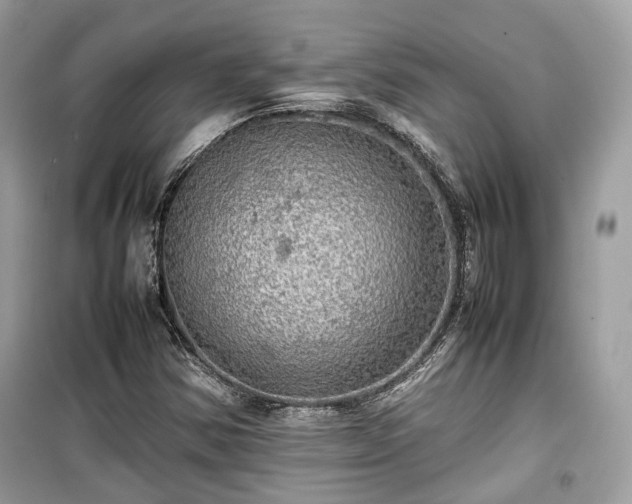 X0000099411354200805161010