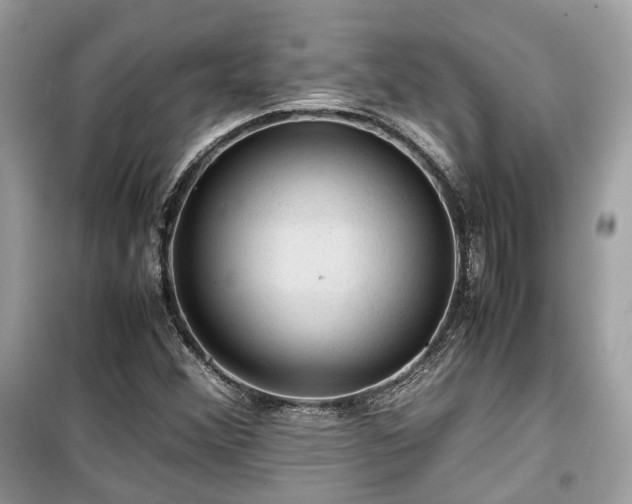 X0000099411356200805161010