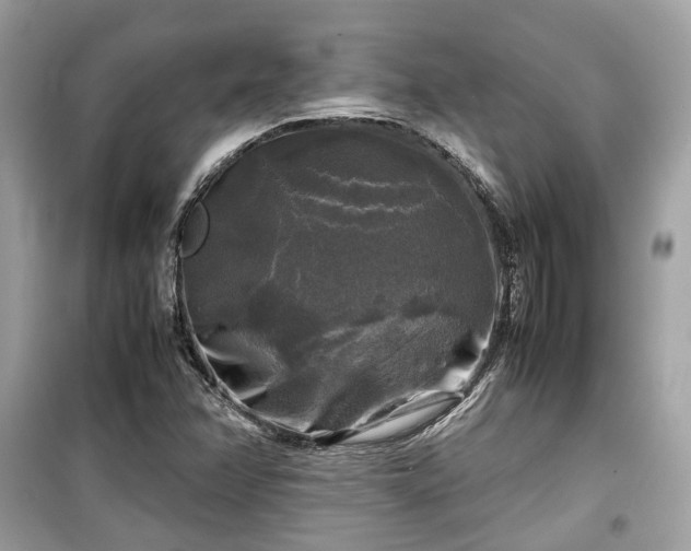 X0000099411358200805161010