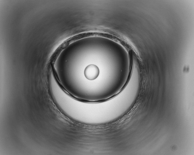 X0000099411360200805161010