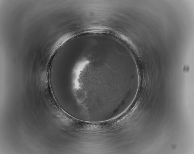 X0000099411362200805161010