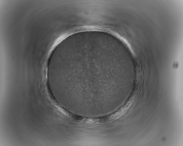 X0000099411365200805161010