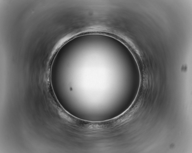 X0000099411366200805161010