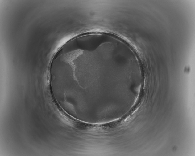 X0000099411367200805161010