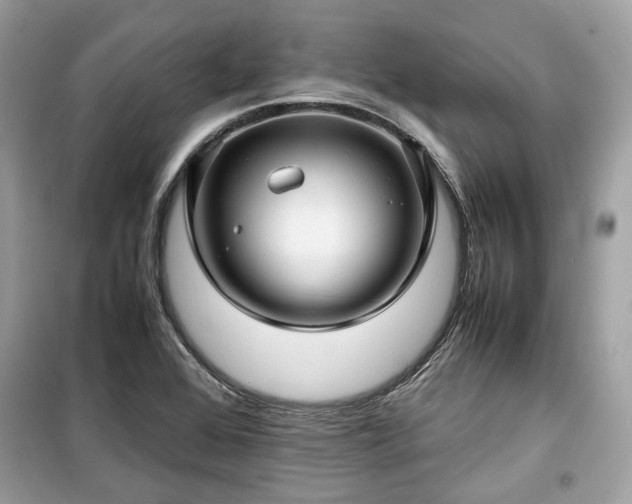 X0000099411368200805161010