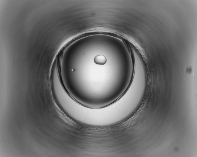 X0000099411372200805161010