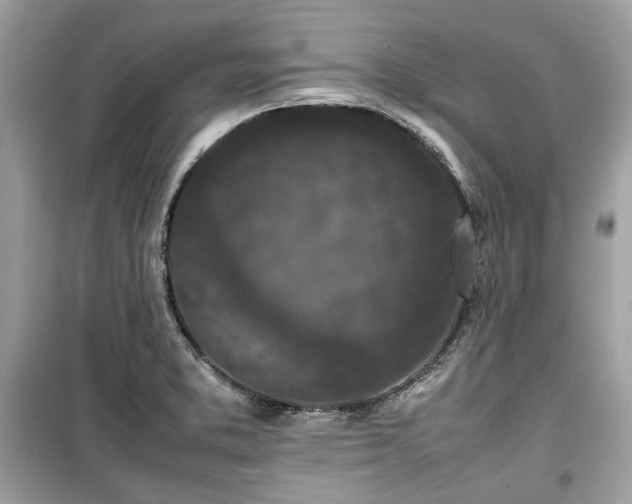 X0000099411373200805161010