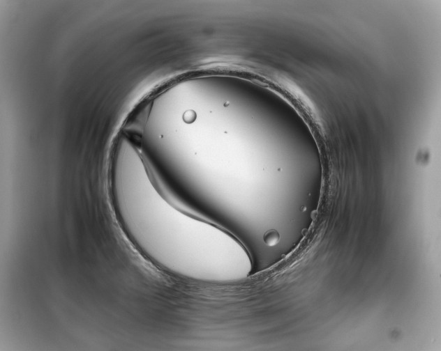 X0000099411376200805161010