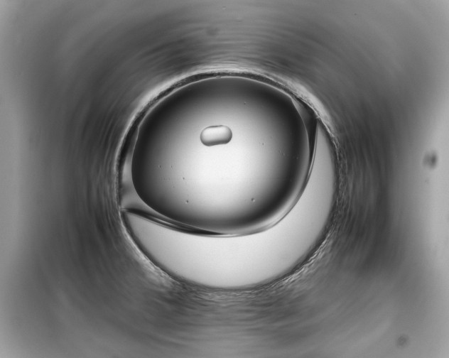 X0000099411380200805161010