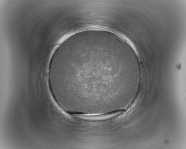 X0000099411381200805161010