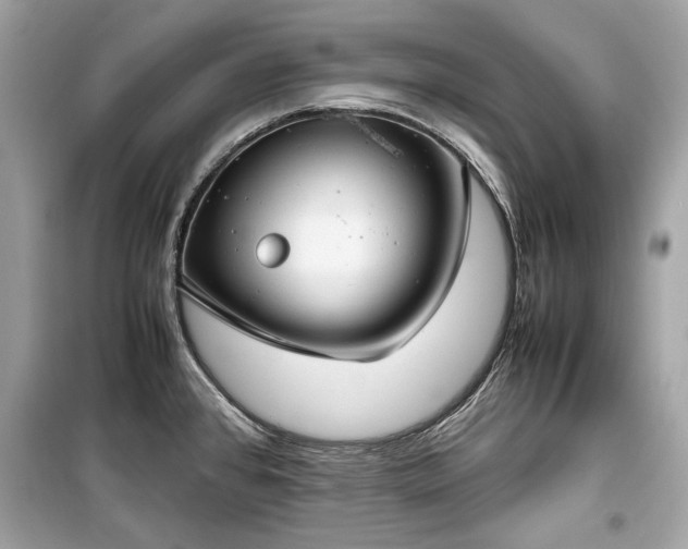 X0000099411384200805161010