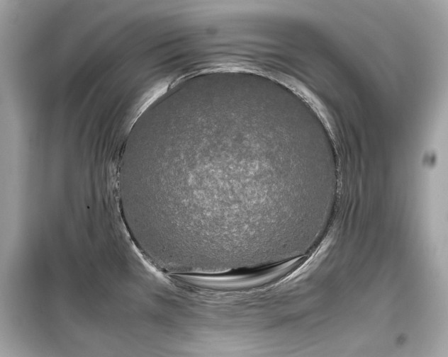X0000099411385200805161010