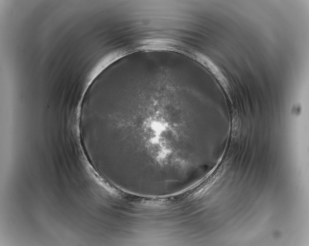 X0000099411386200805161010