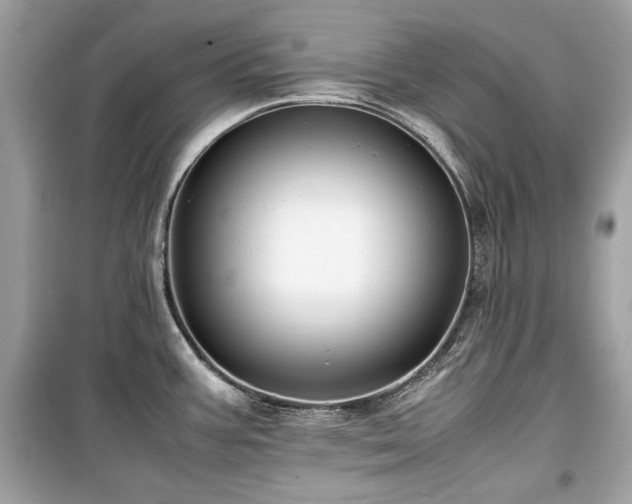 X0000099411387200805161010