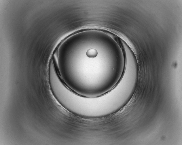 X0000099411388200805161010