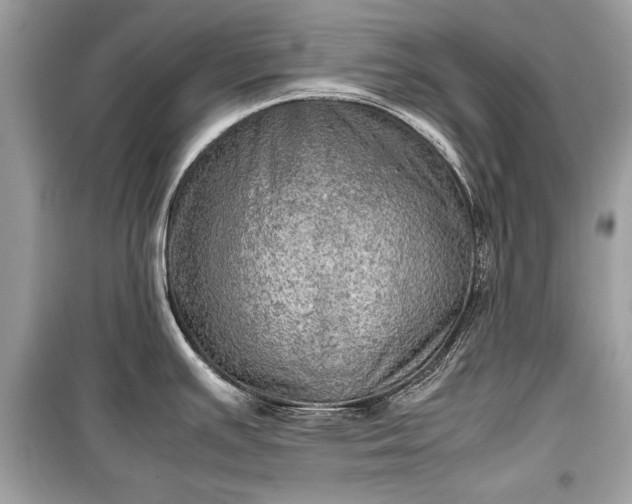 X0000099411391200805161010