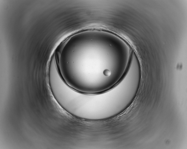 X0000099411392200805161010