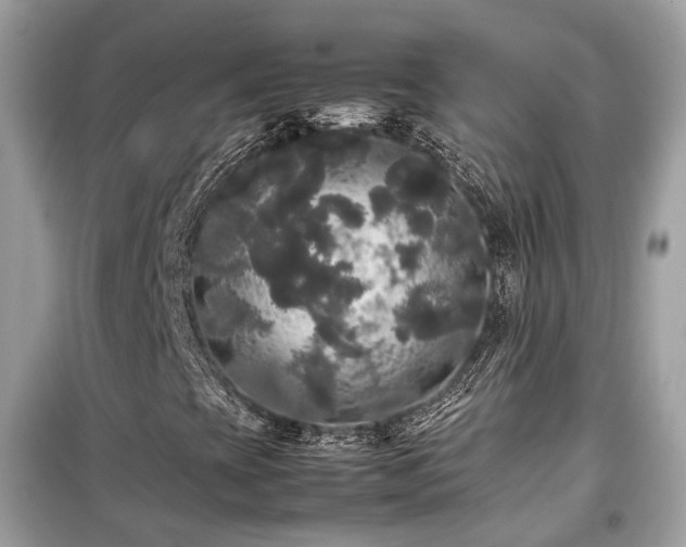 X0000099411393200805161009