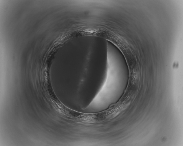 X0000099411394200805161009