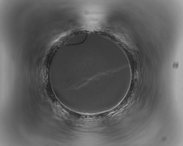 X0000099411398200805161009