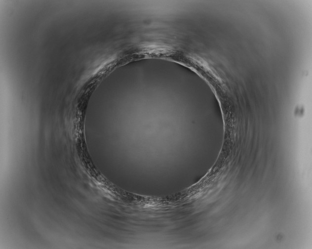 X0000099411399200805161009