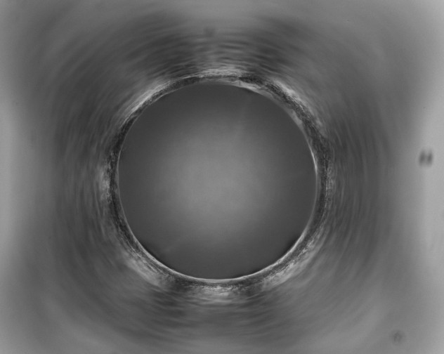 X0000099411401200805161009