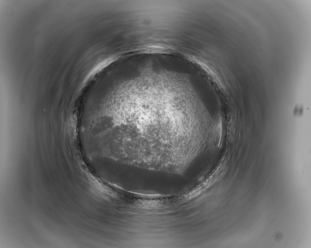 X0000099411402200805161009