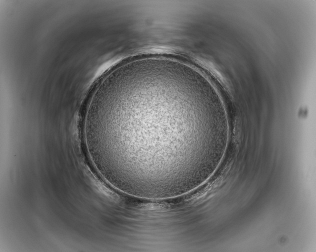 X0000099411404200805161009