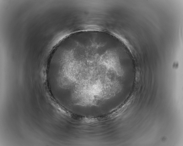 X0000099411407200805161009