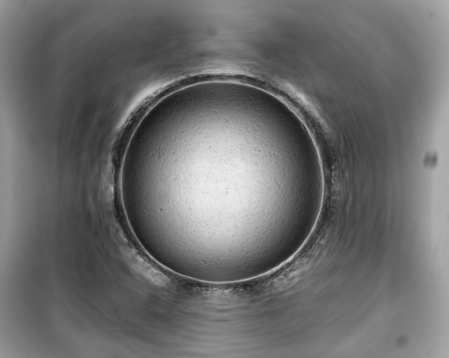 X0000099411408200805161009